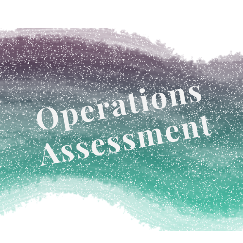 Operations Assessment for small businesses and entrepreneurs